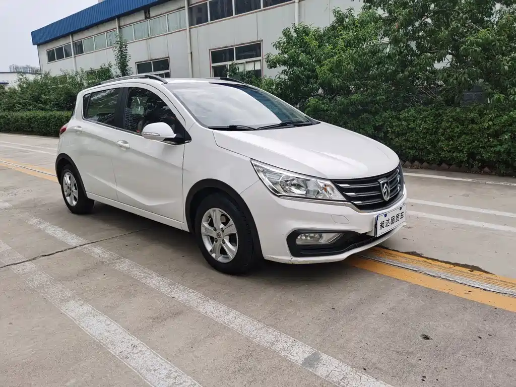 BAOJUN 310