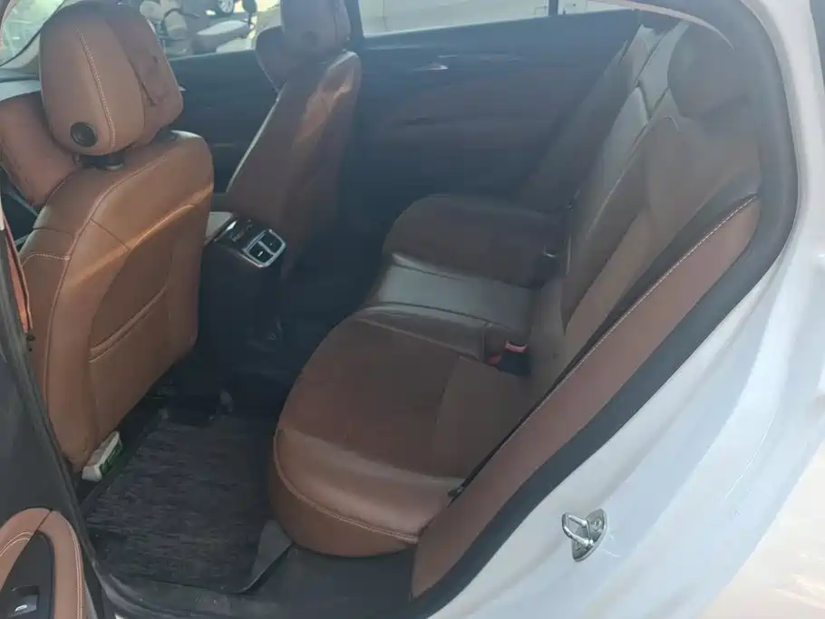 Buick Regal — миниатюра 11