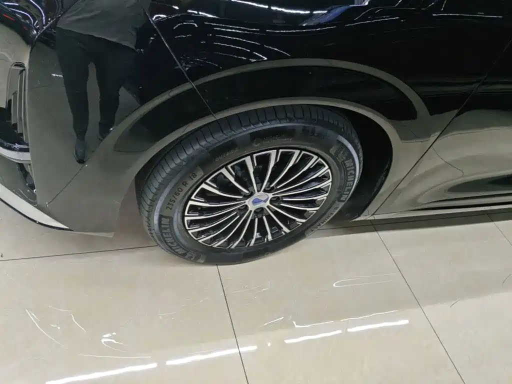 Denza Denza D9 — миниатюра 23