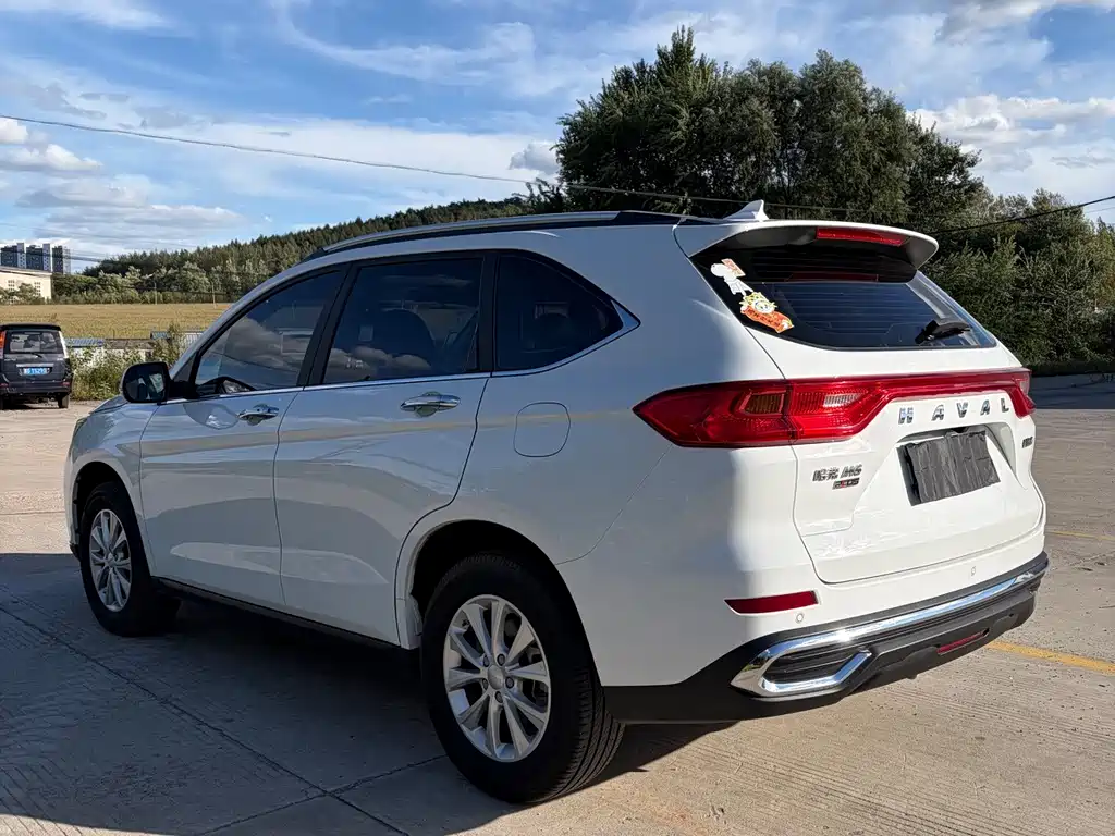 Haval M6 — миниатюра 9