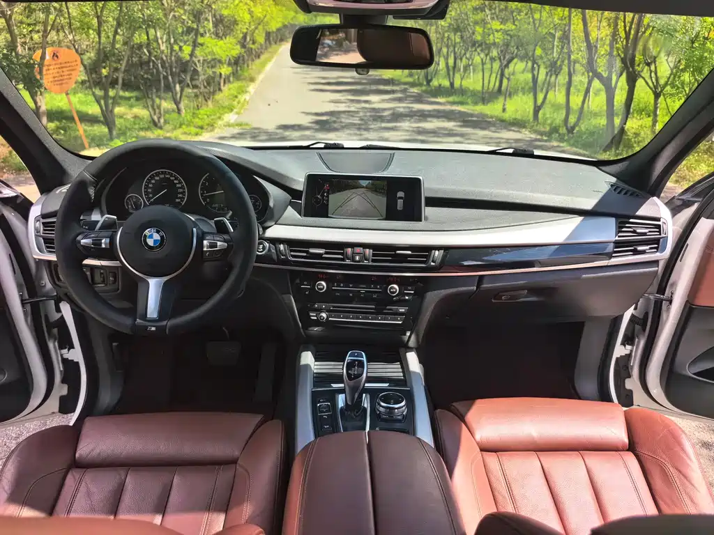 BMW X5 (Import) — миниатюра 14