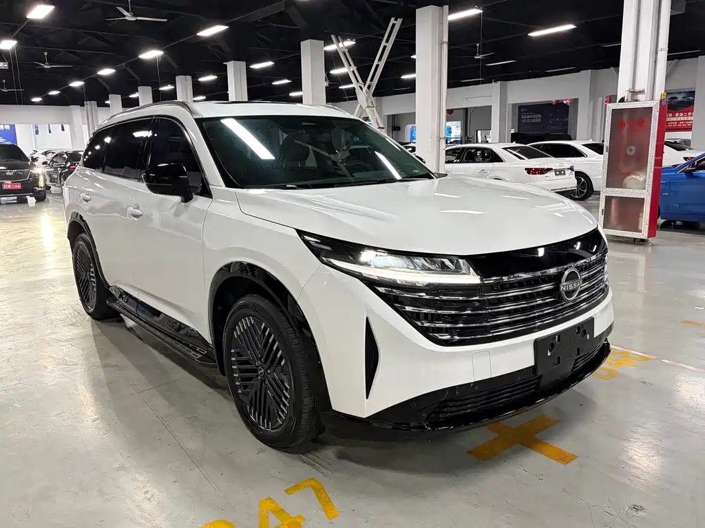 Nissan Teramont — миниатюра 15