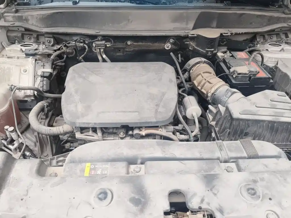 Haval Big Dog — миниатюра 16