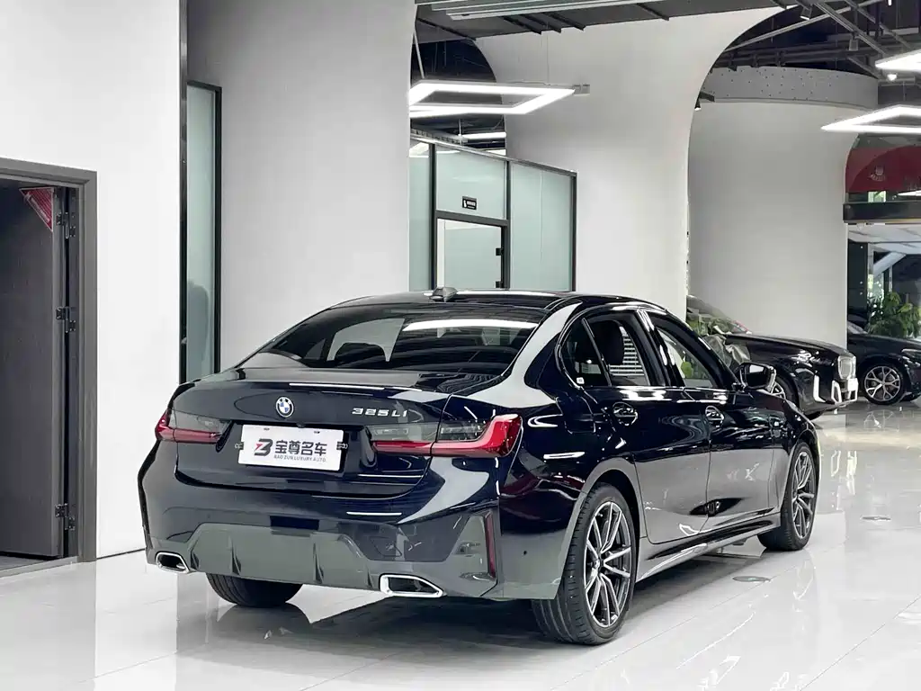 BMW 3 Series — миниатюра 10