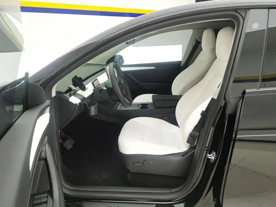Tesla Model Y — миниатюра 9