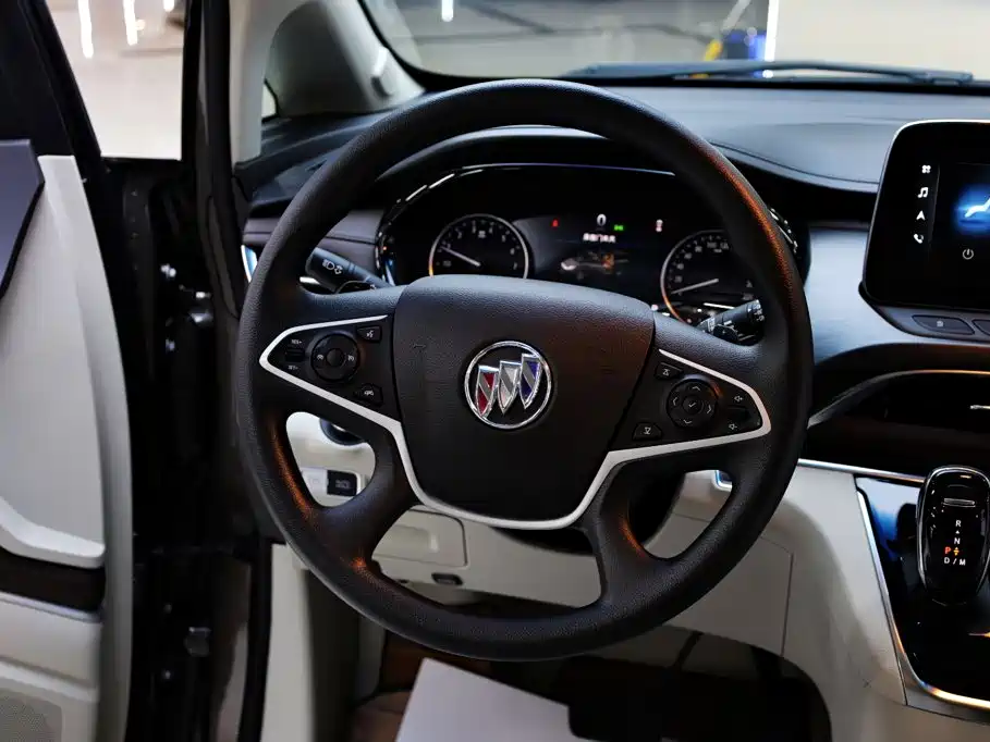 Buick GL8 — миниатюра 22