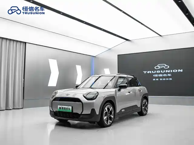 MINI ELECTRIC  ACEMAN 2024