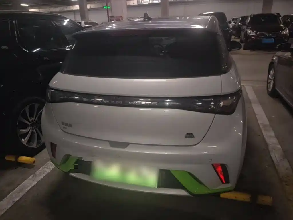 BYD Dolphin 2021 405km Fashion