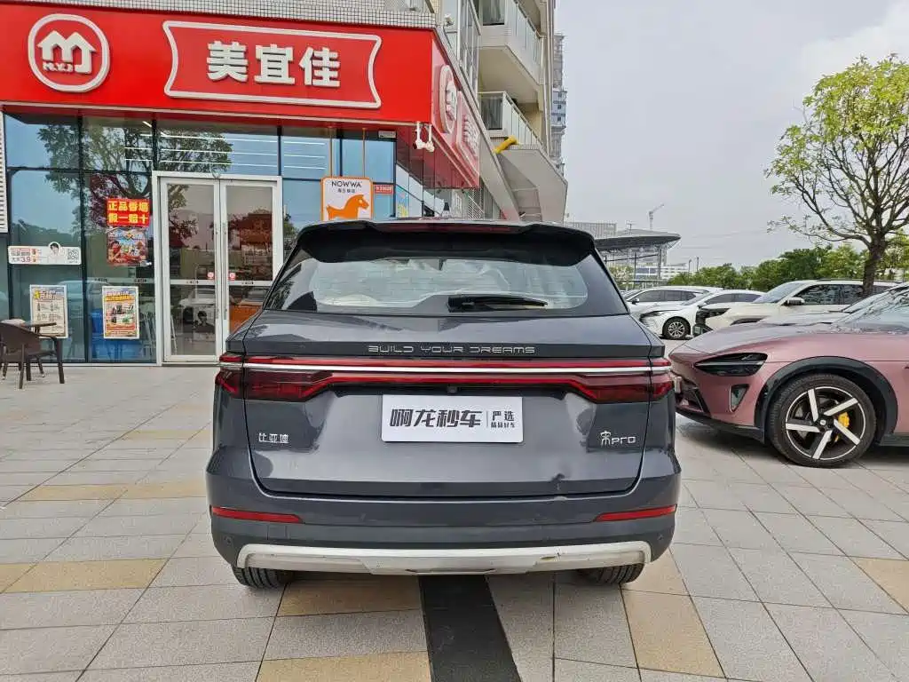 BYD Pro — миниатюра 4