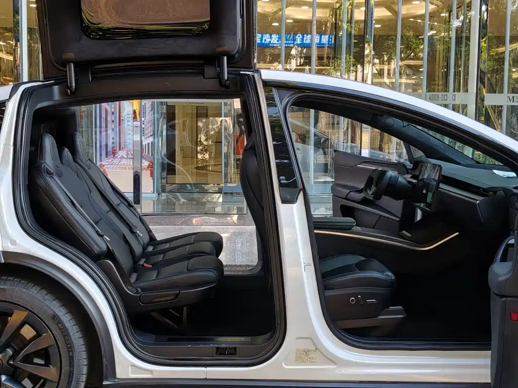 Tesla Model X — миниатюра 12