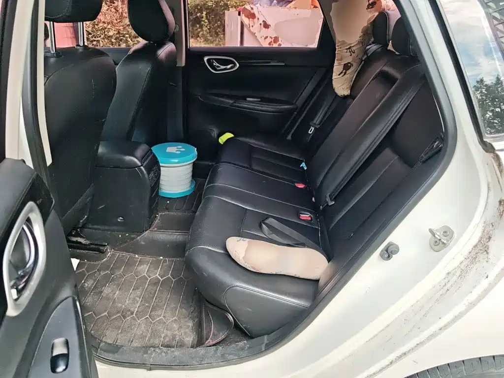 Nissan Sylphy — миниатюра 15