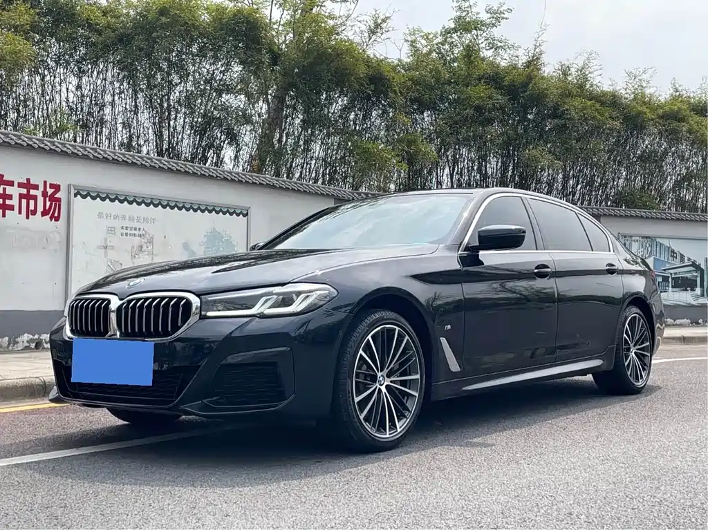 BMW 5 SERIES
