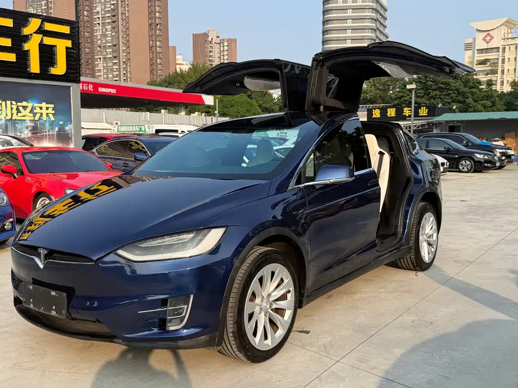 Tesla Model X — миниатюра 3