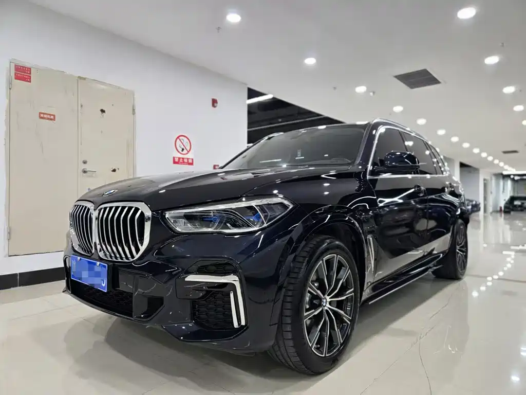 BMW X5 — миниатюра 2