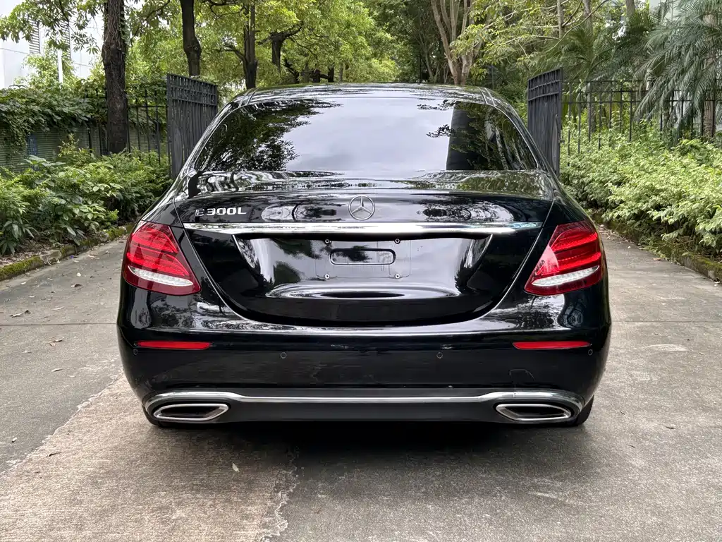 Mercedes-Benz E-Class E 2020 E 300 L Luxury