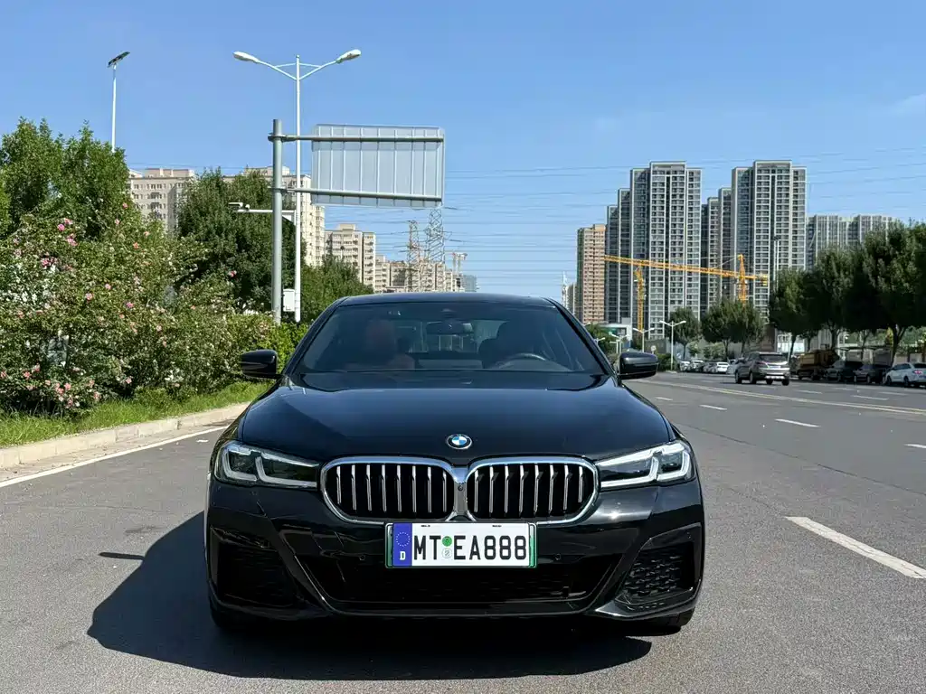 BMW 5 Series New Energy — миниатюра 2