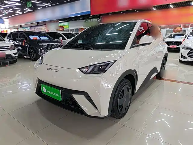 2024 BYD Seagull