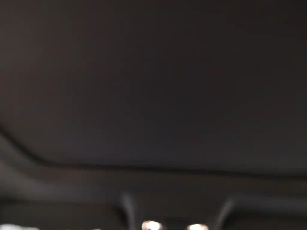 HAVAL RAPTORS NEW ENERGY