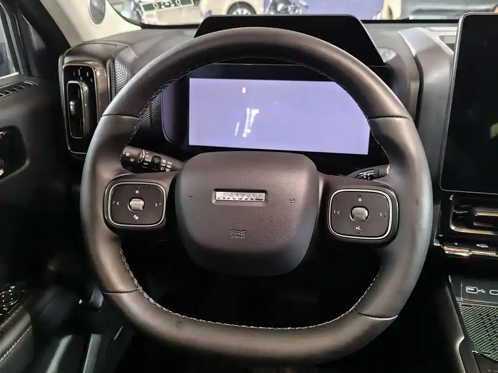 HAVAL RAPTORS NEW ENERGY