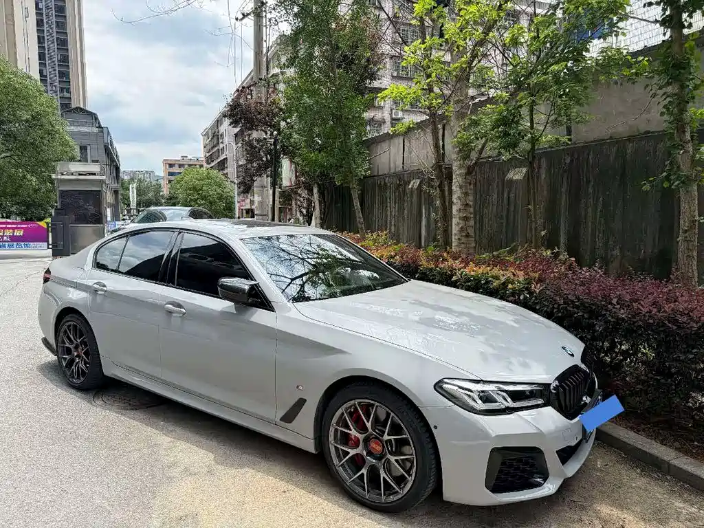 Купить BMW 5 Series (Import)