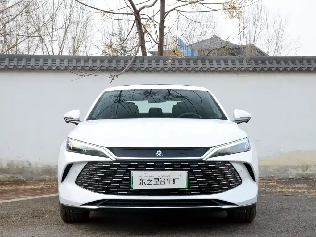 BYD QIN L
