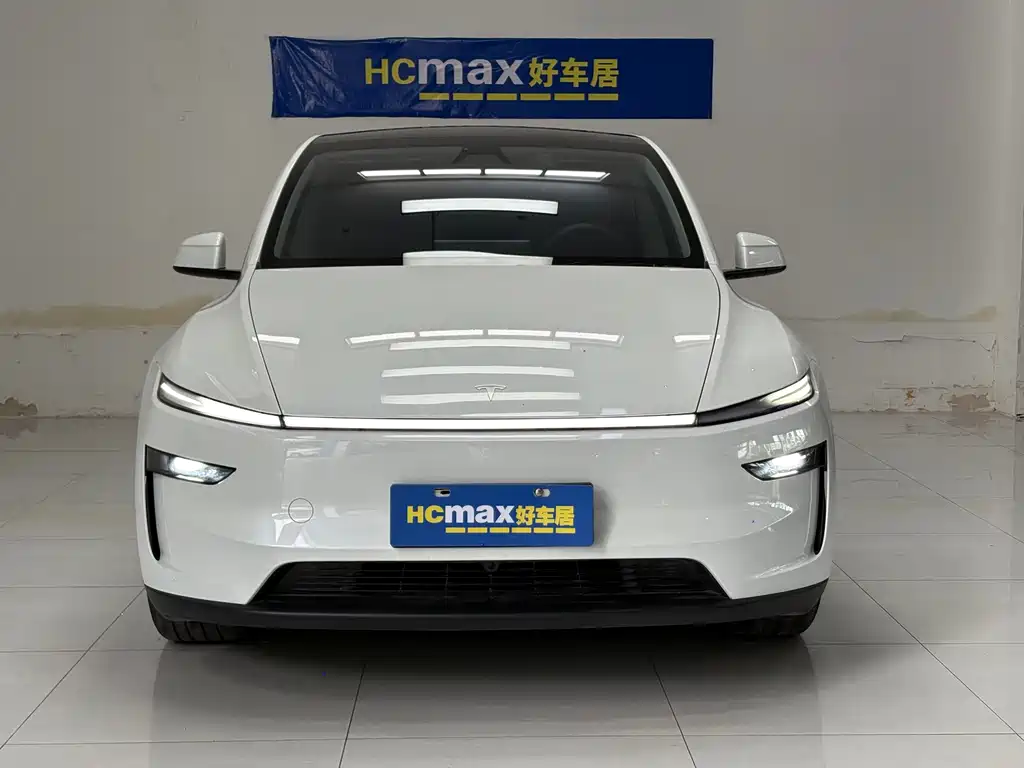 Tesla Model Y — миниатюра 2