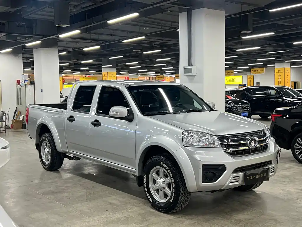 GREAT WALL FENGJUN 5