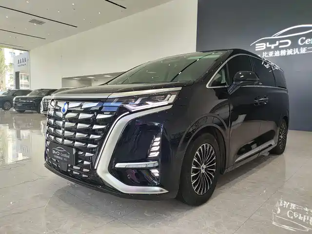 2025 Denza D9