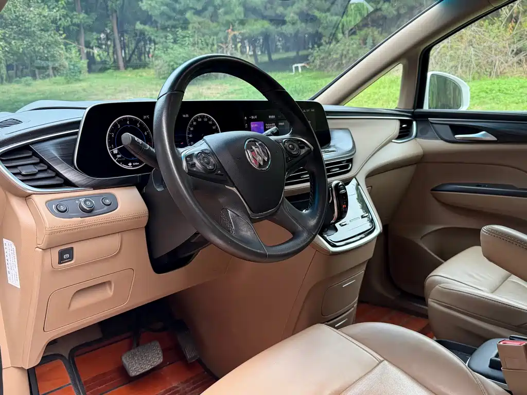Buick GL8 — миниатюра 6