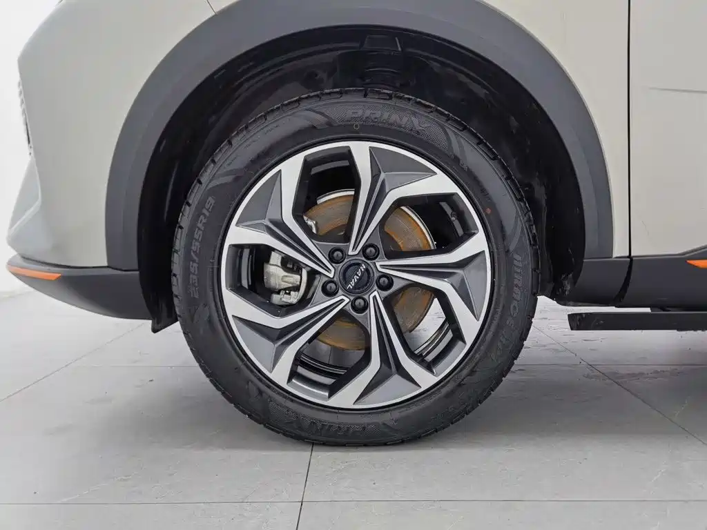 Haval Shenshou — миниатюра 17