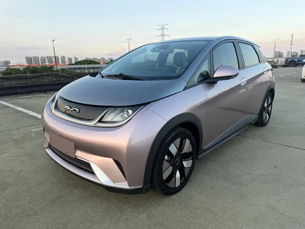 BYD Dolphin
