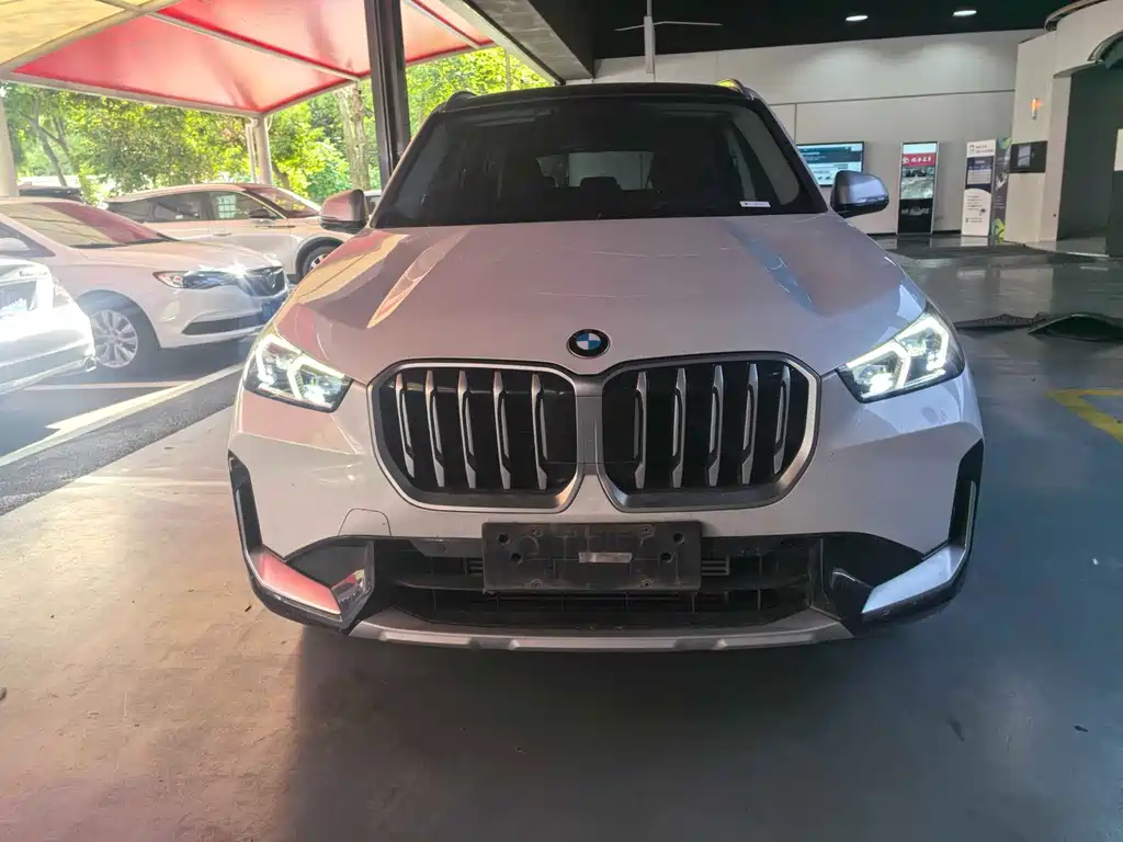 BMW X1 — миниатюра 2
