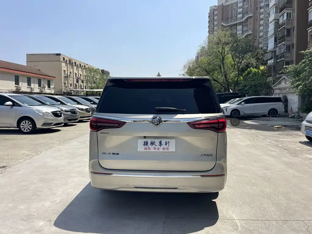 Buick GL8 ES LandKing 653T Comfort Type, фото 5