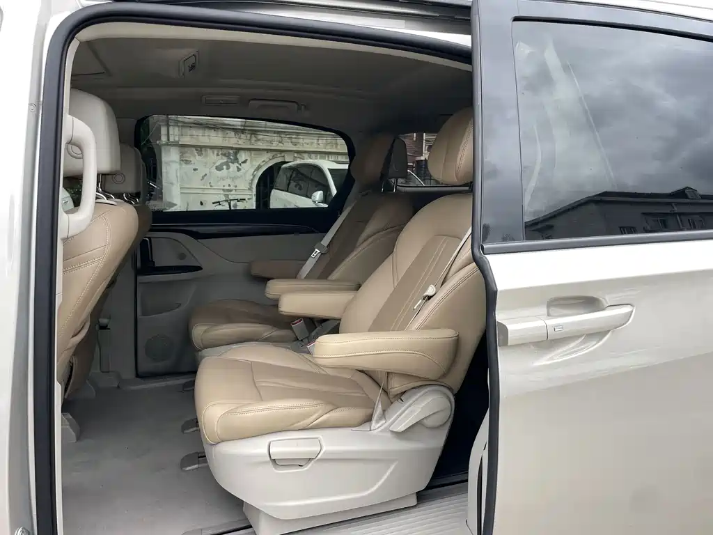 Buick GL8 ES LandKing 653T Comfort Type, фото 22