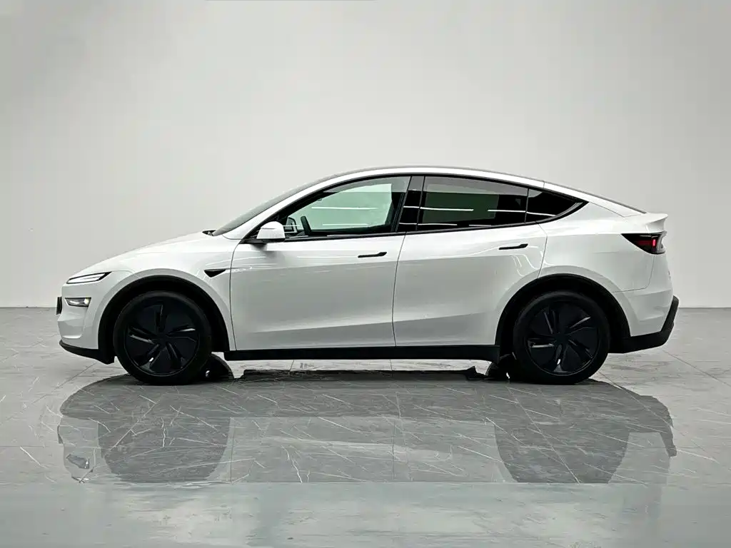Tesla Model Y — миниатюра 3