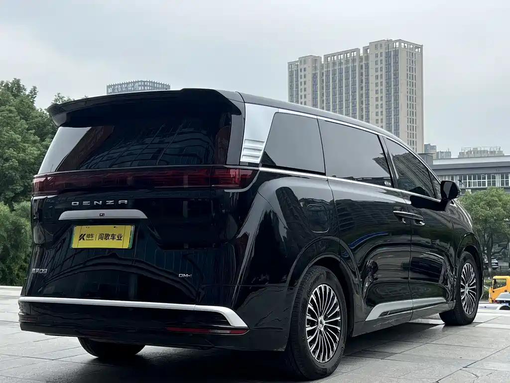 Denza Denza D9 — миниатюра 4