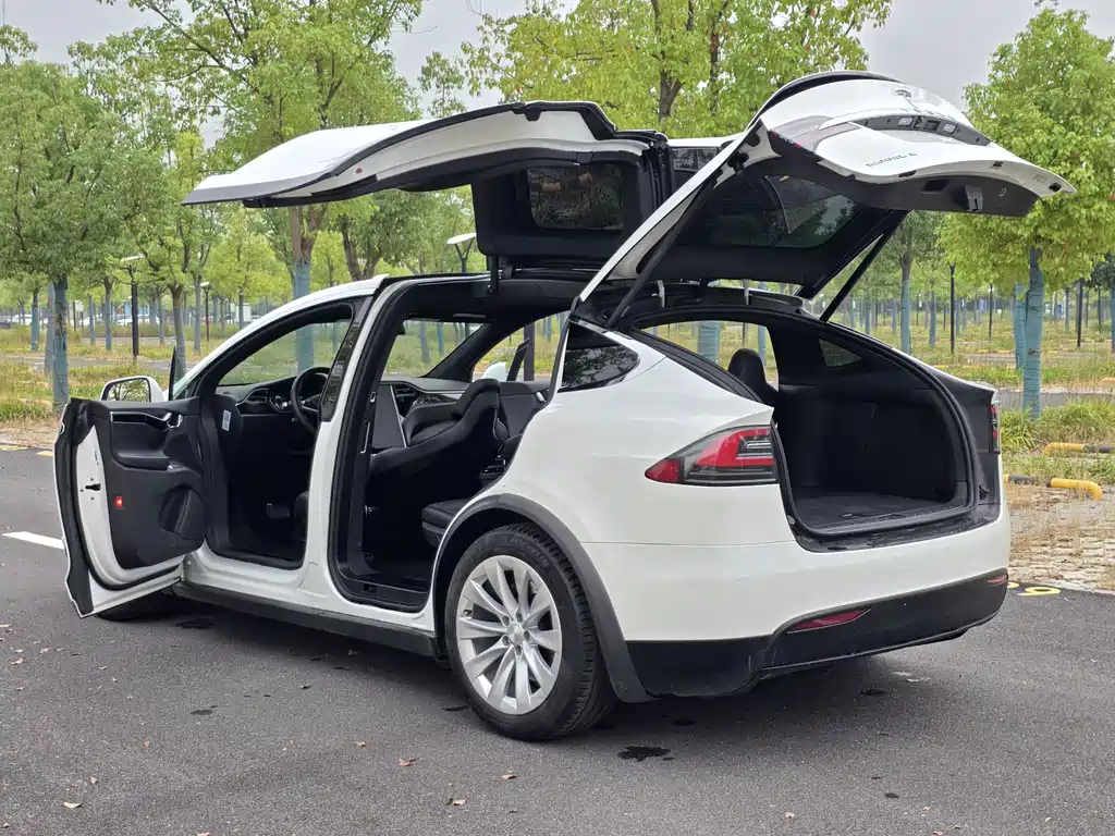 Tesla Model X — миниатюра 25