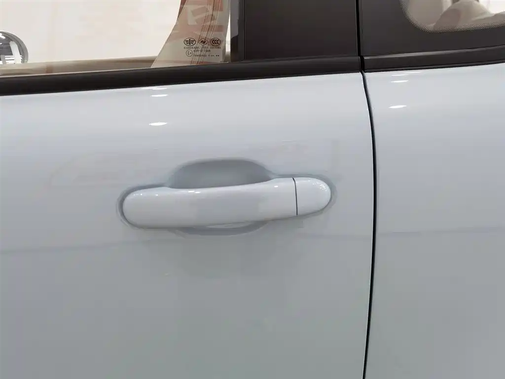 BESTUNE PENTIUM PONY