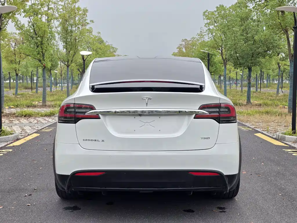 Tesla Model X — миниатюра 5