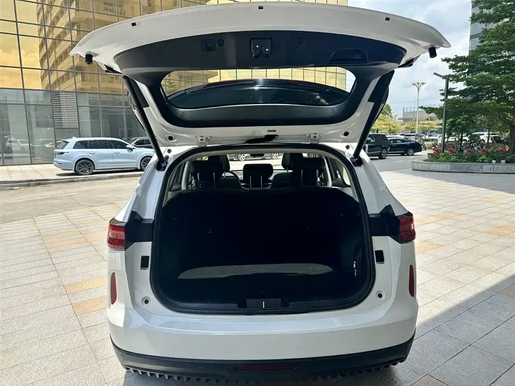 Haval H6 New Energy — миниатюра 14