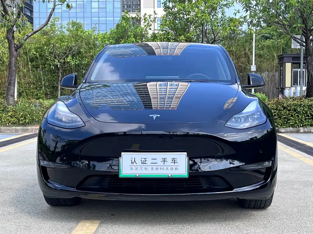 Tesla Model Y — миниатюра 2