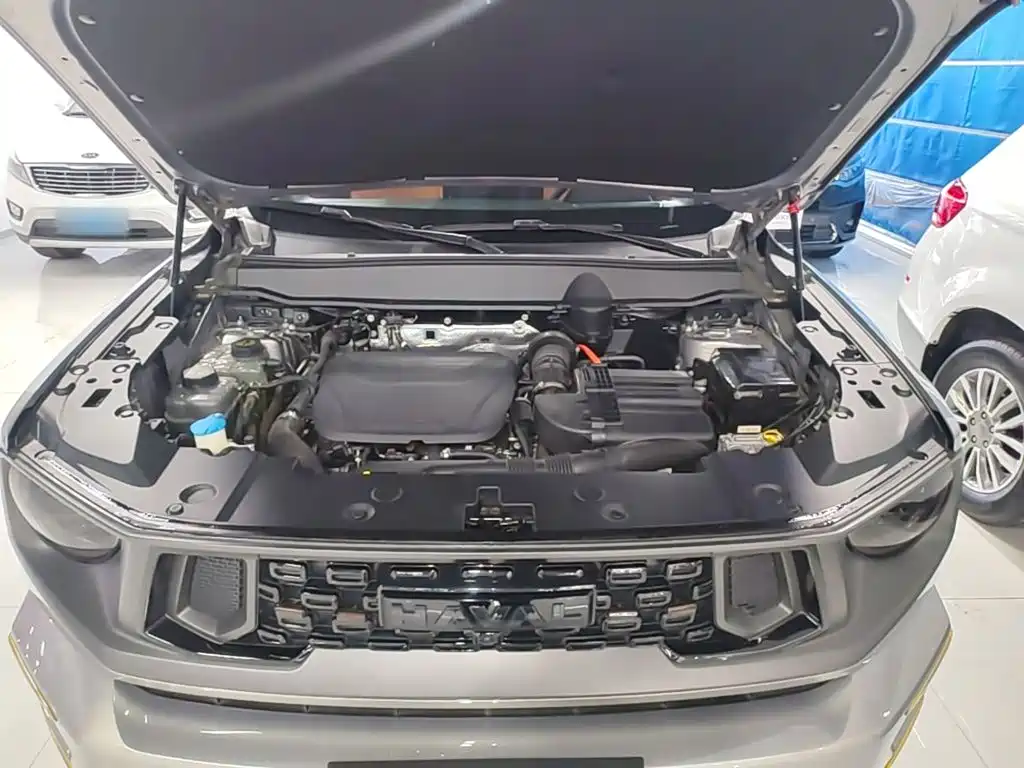 Haval Big Dog PLUS New Energy — миниатюра 20