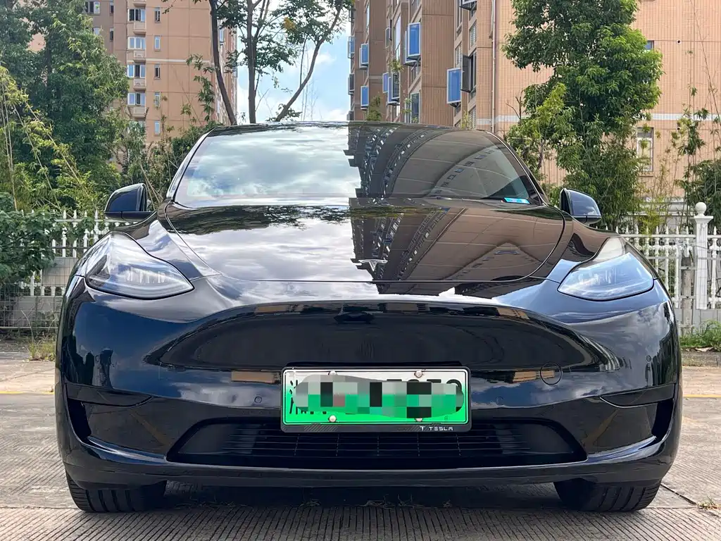 Tesla Model Y — миниатюра 2