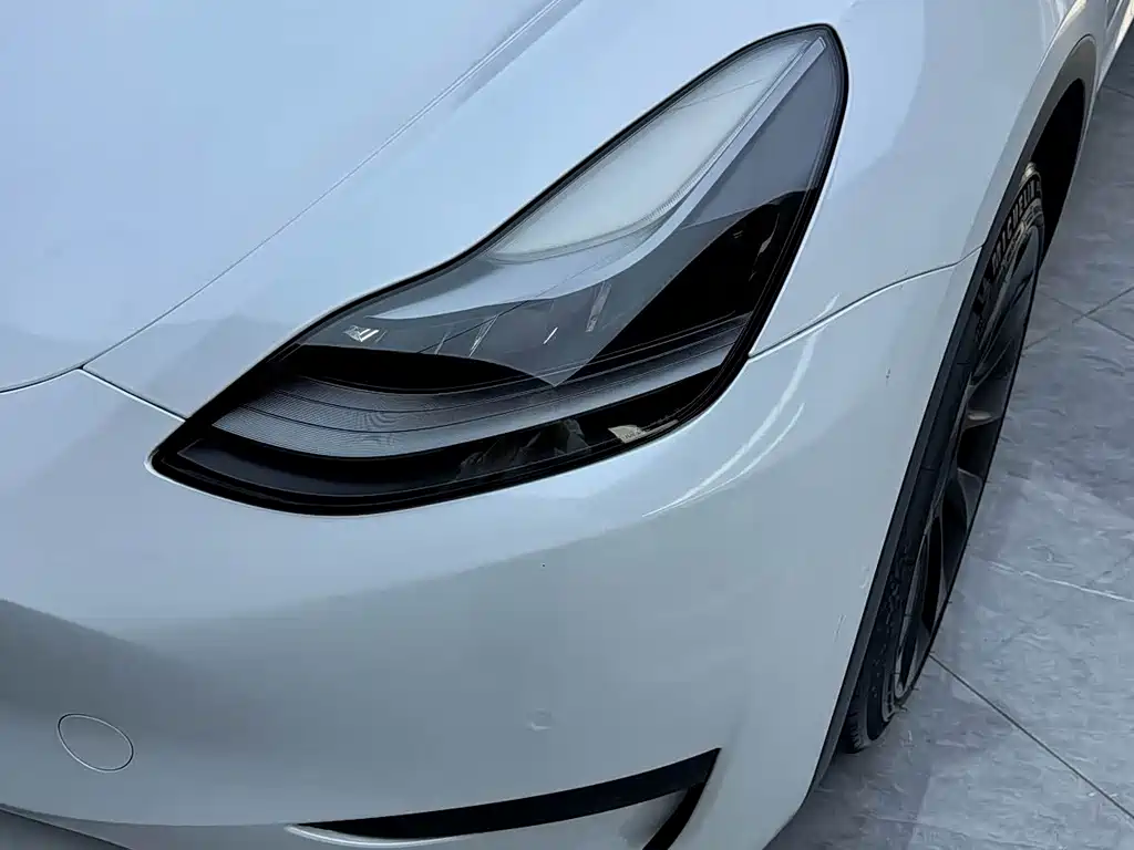Tesla Model Y — миниатюра 2