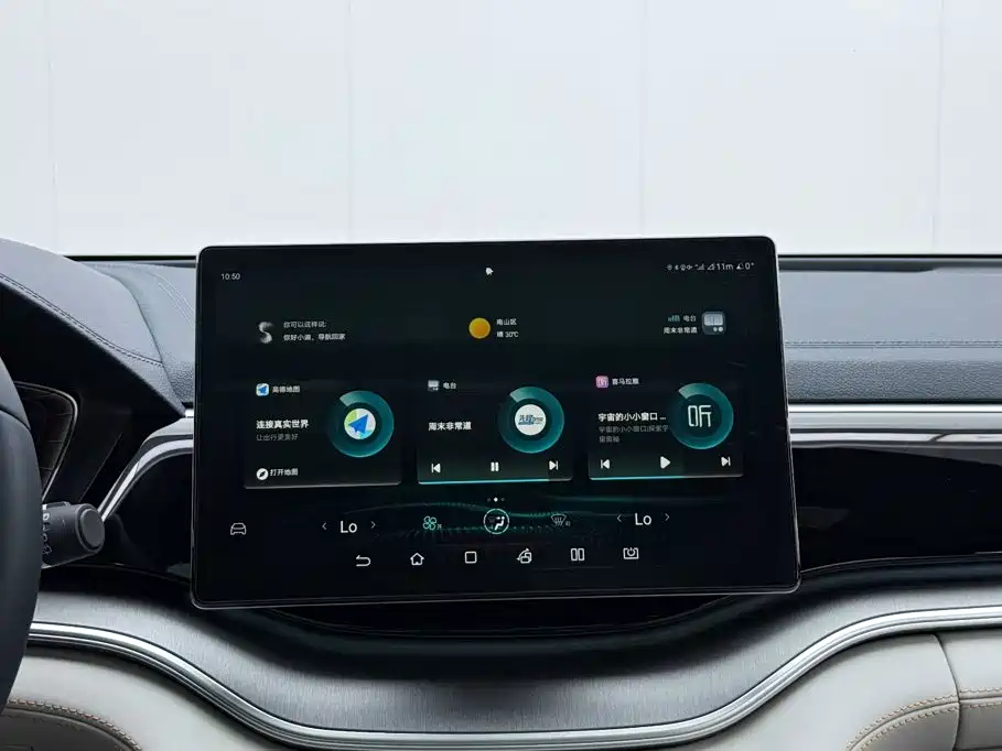 BYD PLUS New Energy — миниатюра 13
