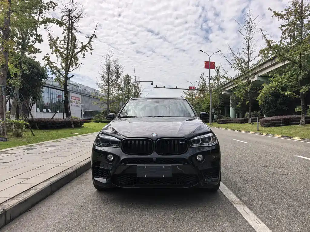 BMW X5 (Import) — миниатюра 2