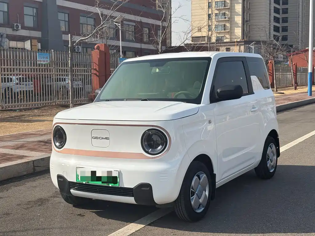 GEELY GALAXY PANDA