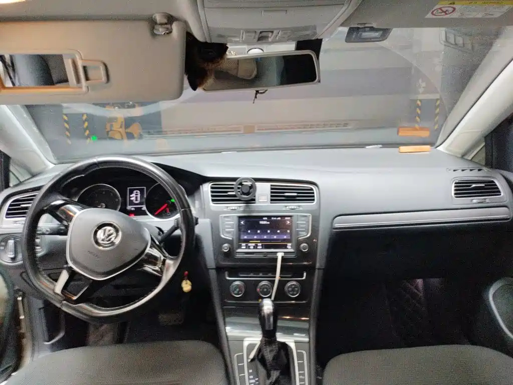 Volkswagen Golf — миниатюра 10