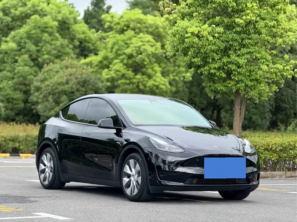 Tesla Model Y — миниатюра 3