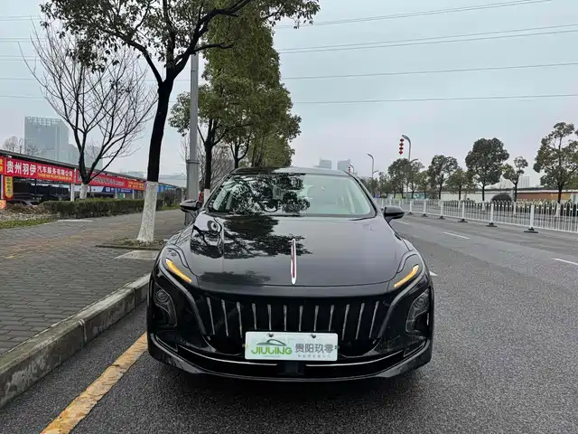 Hongqi HONGQI E QM5 2023